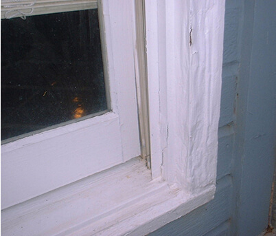 building-pest-inspection