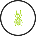 Pest & Termites Inspections