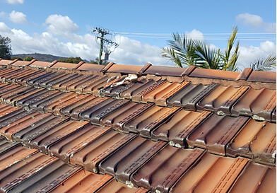 pre-purchase-building-inspections