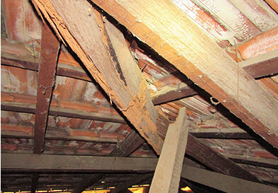 pre-purchase-building-inspections