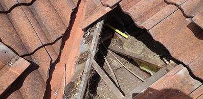 property-maintenance